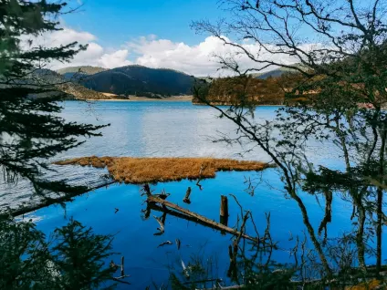 왜건벳 카지노 모바일 앱